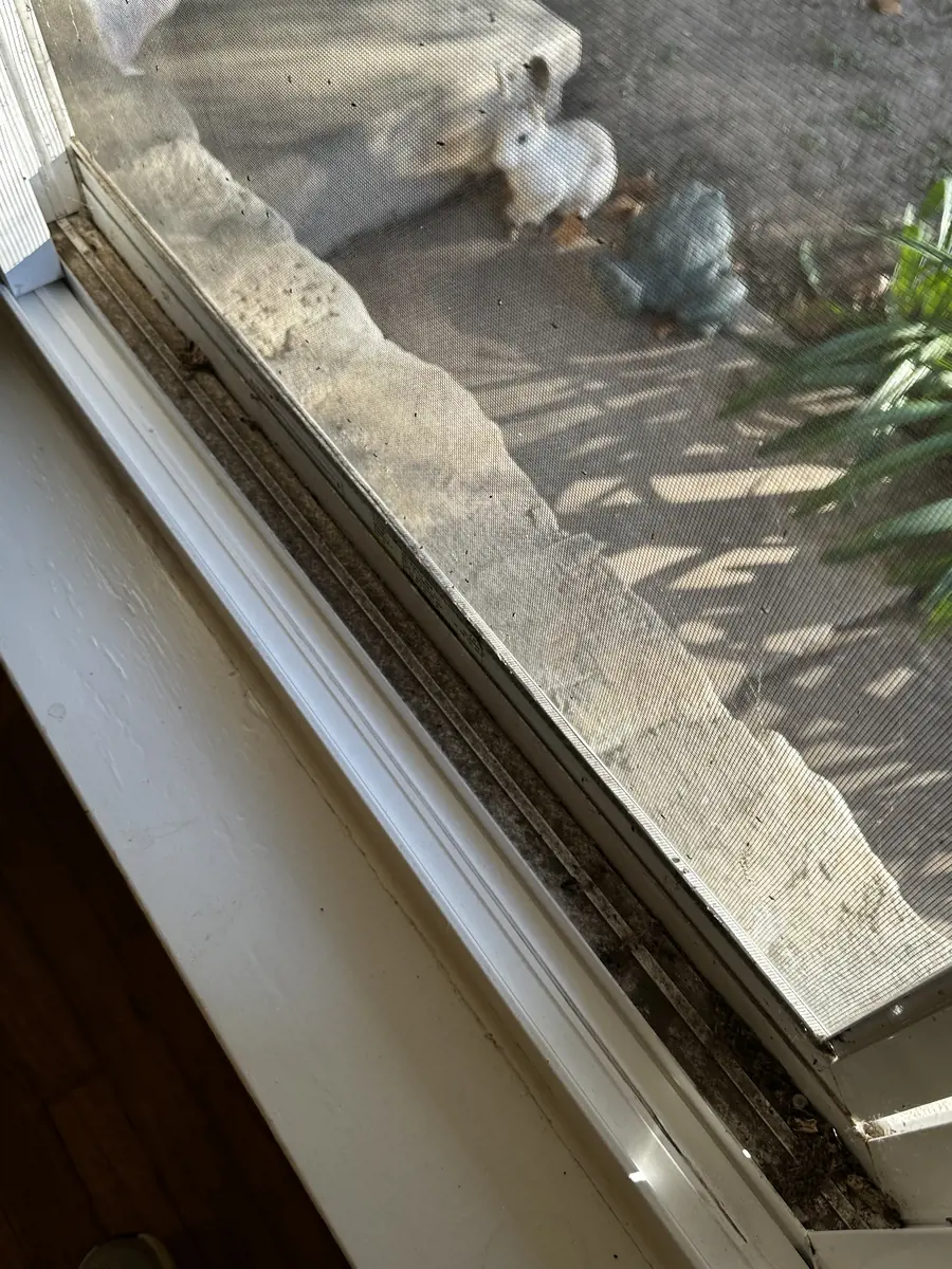 Window track packed with dirt, before